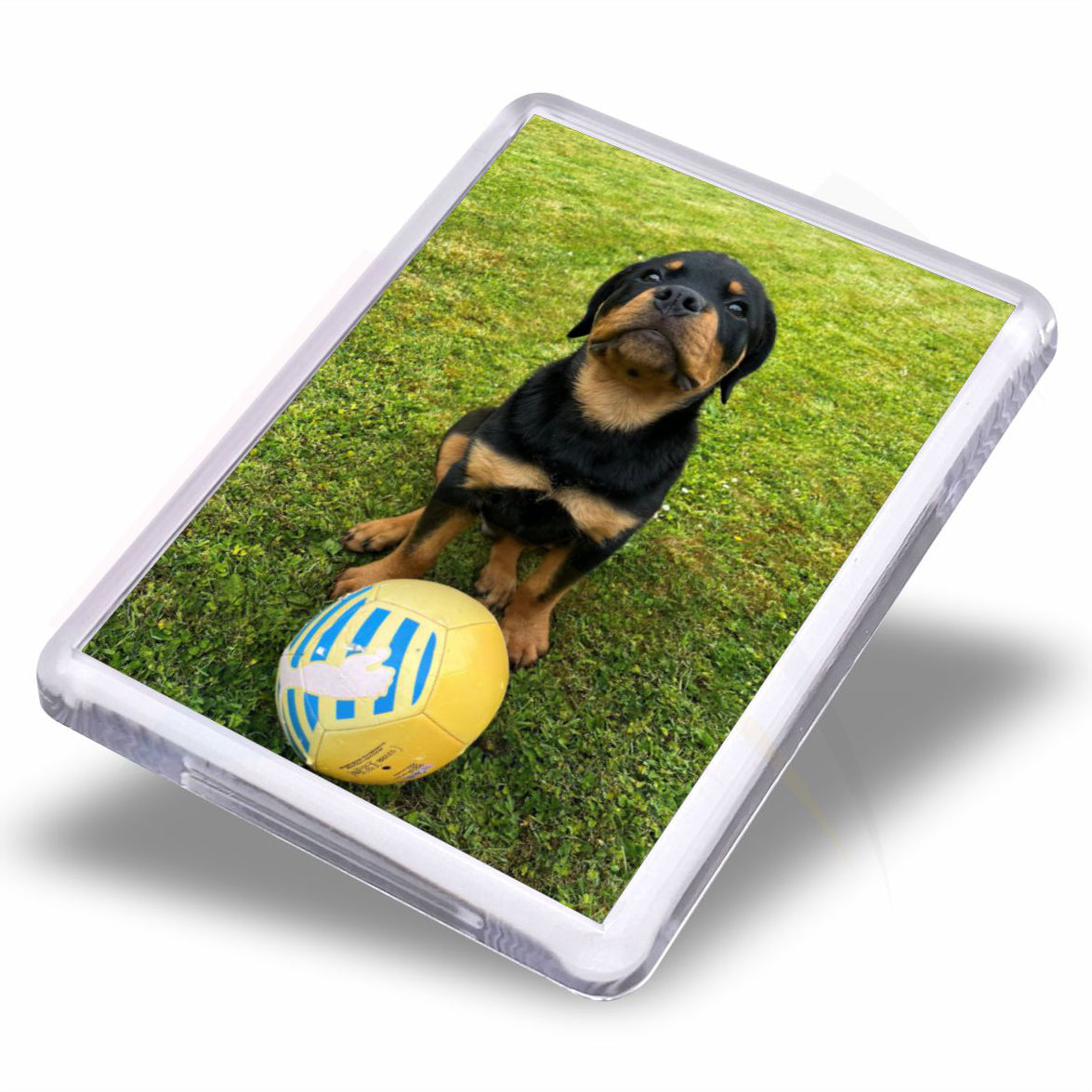 C1M-IB Acrylic Fridge Magnet Rectangular 50x35mm Photo Insert - Blank or Printed - Pack of 50
