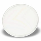 CR02 Round 80mm Photo Insert Acrylic Coaster - Blank or Printed - Pack of 200
