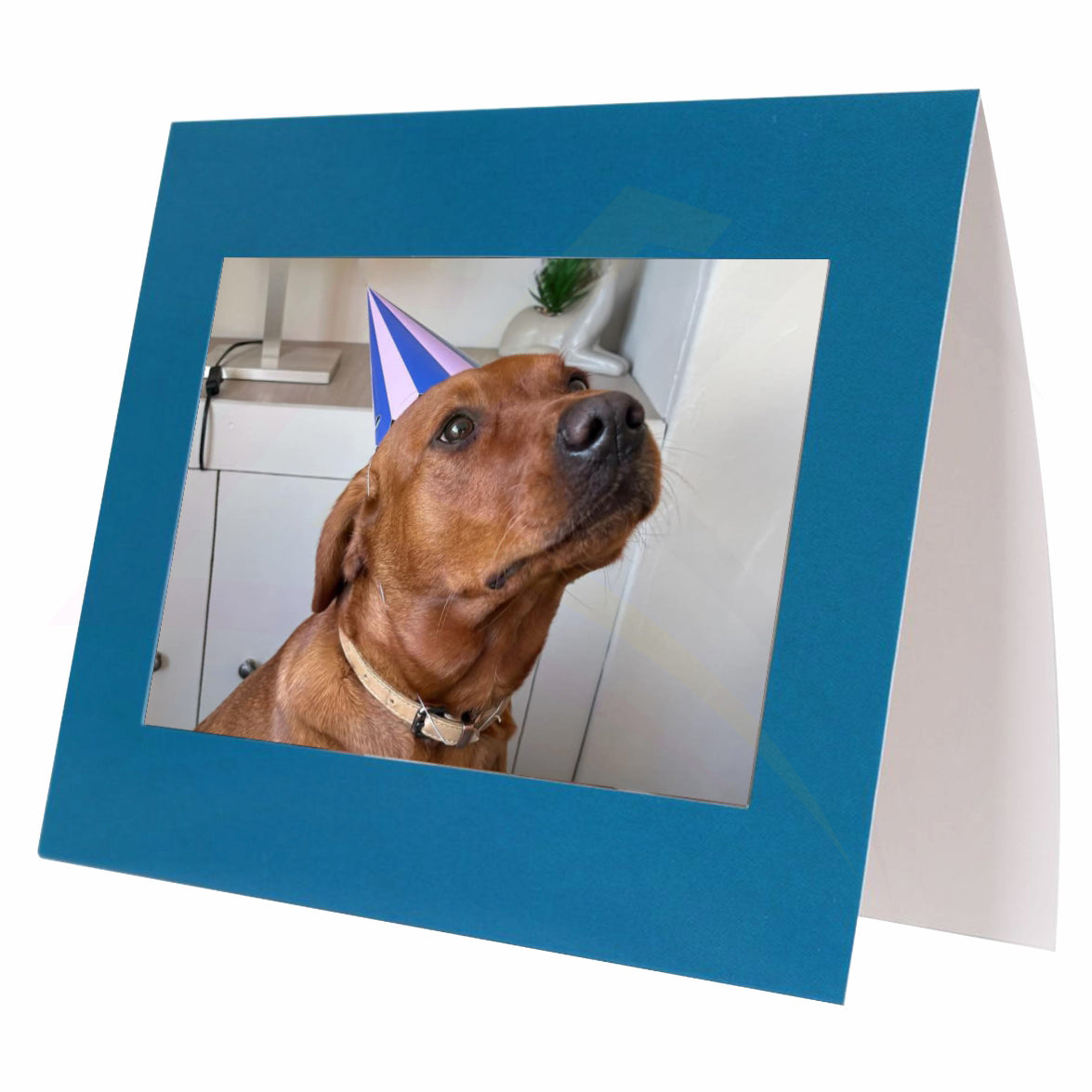 FC02-FE Frame Cards Assorted – 152x102mm 6x4" Photo Insert (Pack of 15) - Blank or Printed
