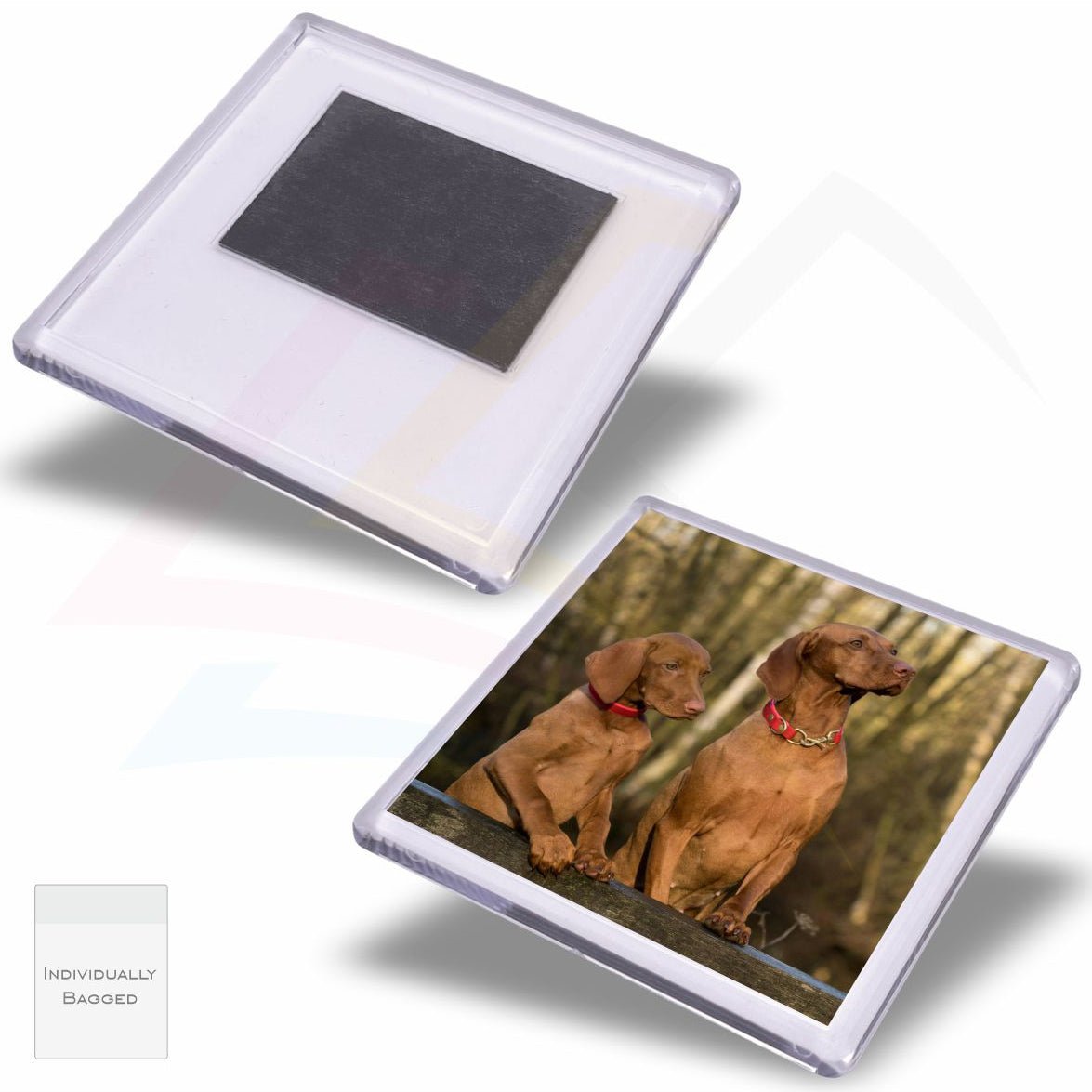 FM57 - IB Plastic Fridge Magnet 57 x 57mm Insert - Blank or Printed - Pack of 50 - Intaprint Ltd