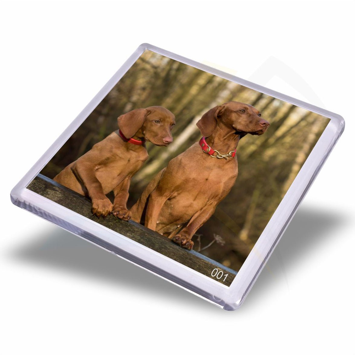 FM57 - IB - 10 Plastic Fridge Magnet 57 x 57mm Insert - Blank or Printed - Pack of 10 - Intaprint Ltd