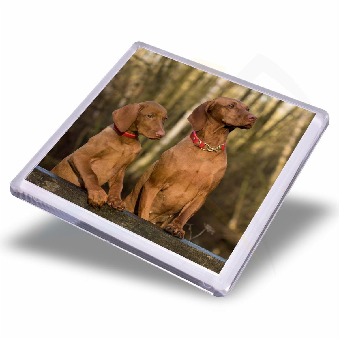 FM57 - IB - 10 Plastic Fridge Magnet 57 x 57mm Insert - Blank or Printed - Pack of 10 - Intaprint Ltd
