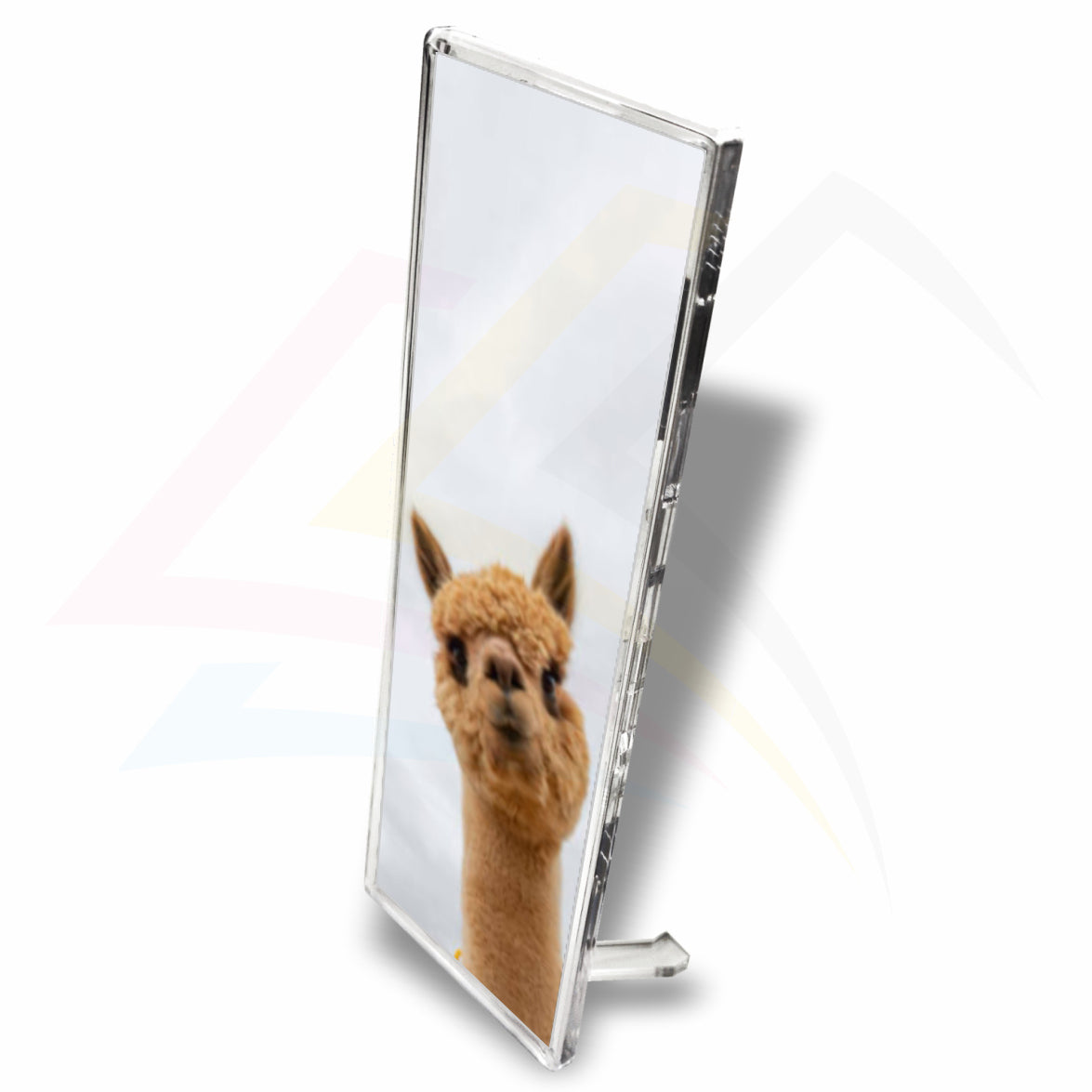 FQ26 Panoramic Acrylic Fridge Magnet Rectangular 152x51mm Photo Insert - Blank or Printed - Pack of 50