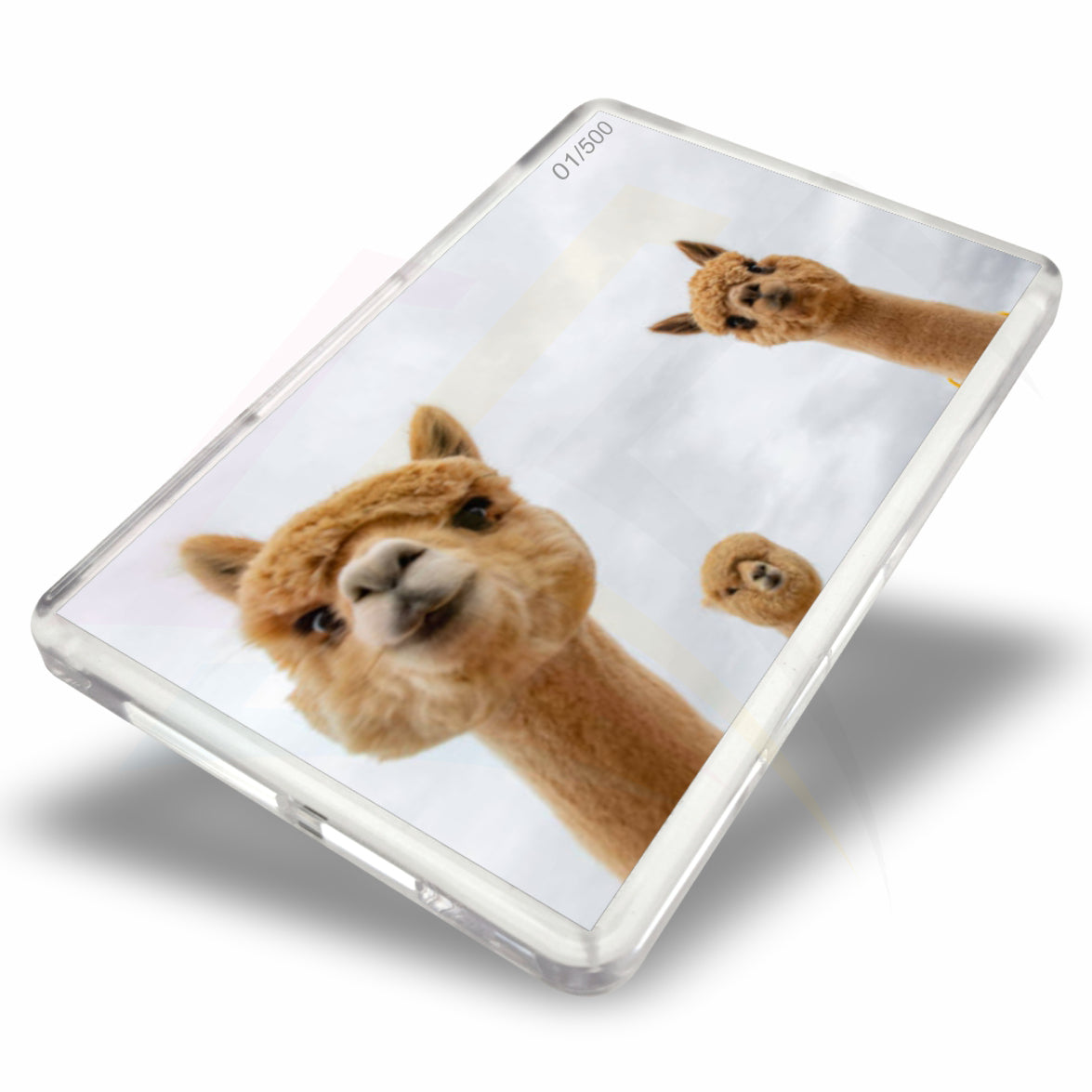 FZ02 acrylic 70x45mm insert rectangular fridge magnet printed sequentially numbered photo frame