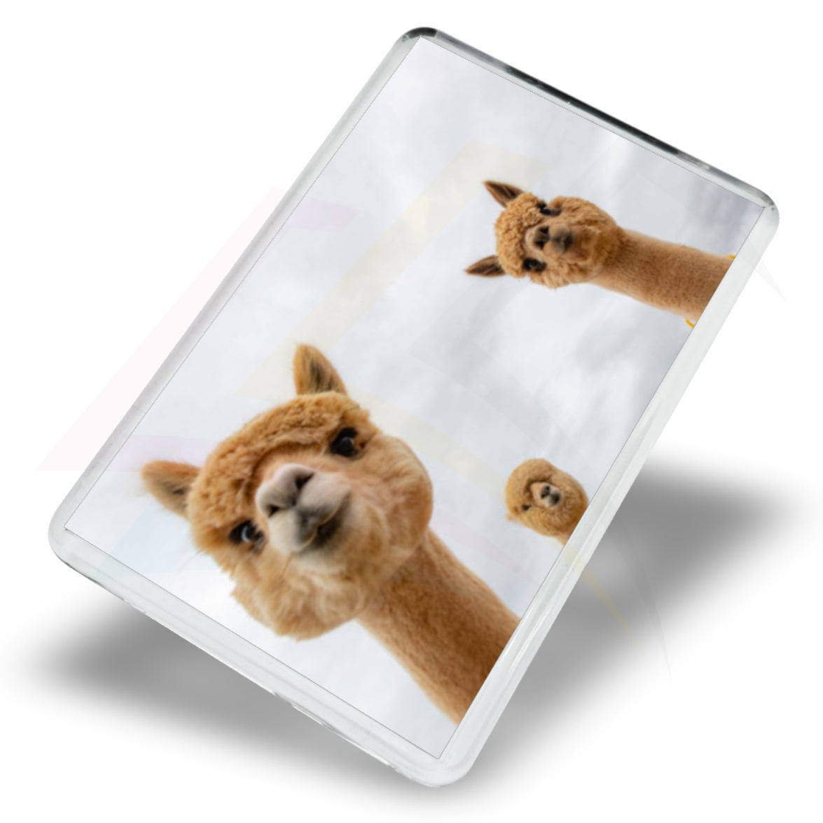 FZ02 printed 70x45mm rectangular acrylic fridge magnet