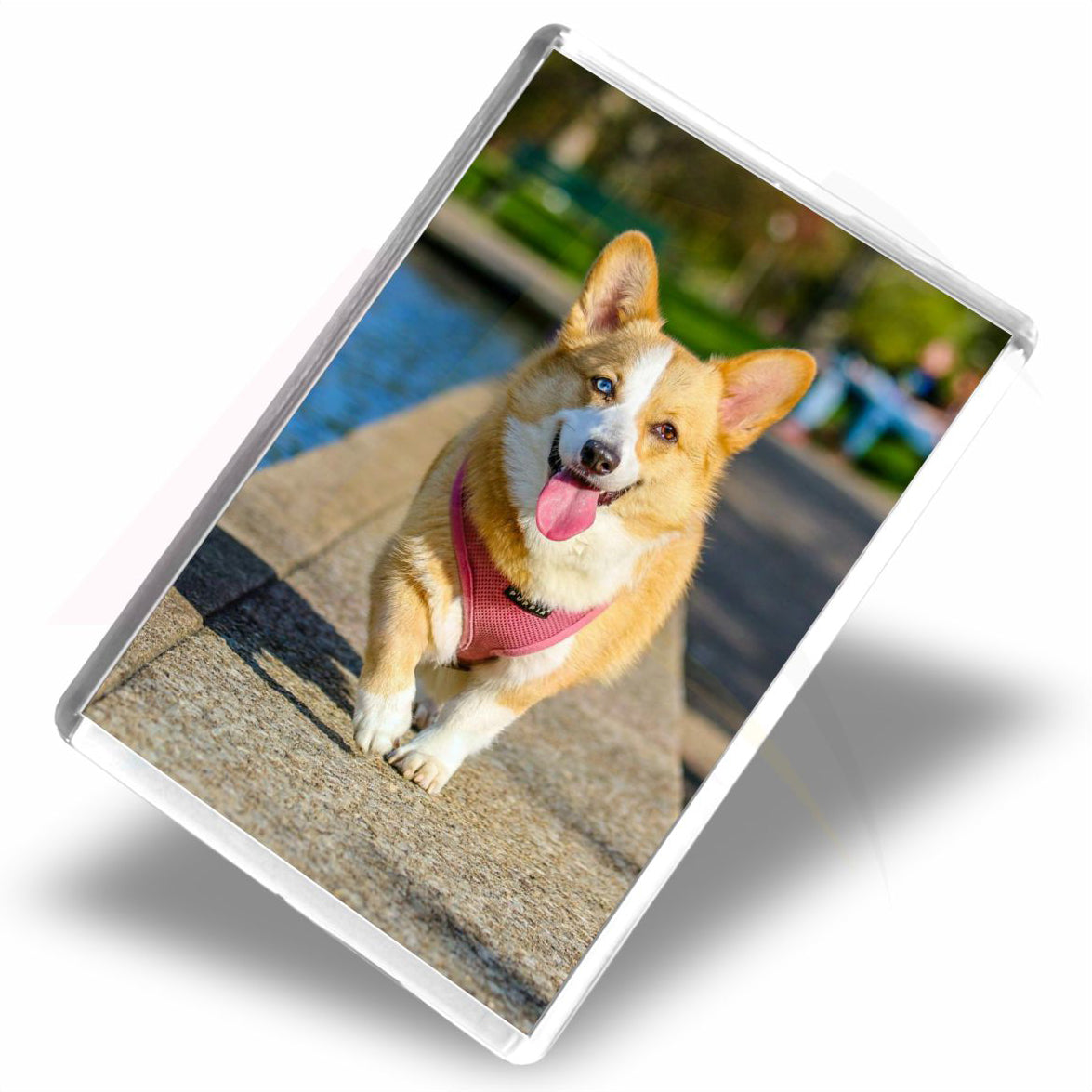 JM02 Jumbo Acrylic Fridge Magnet Rectangular 90x60mm Photo Insert - Blank or Printed - Pack of 50