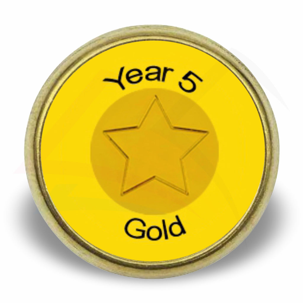 P-17-10 Metal Pin Badge Round 17mm Photo Insert - Blank or Printed - Pack of 10