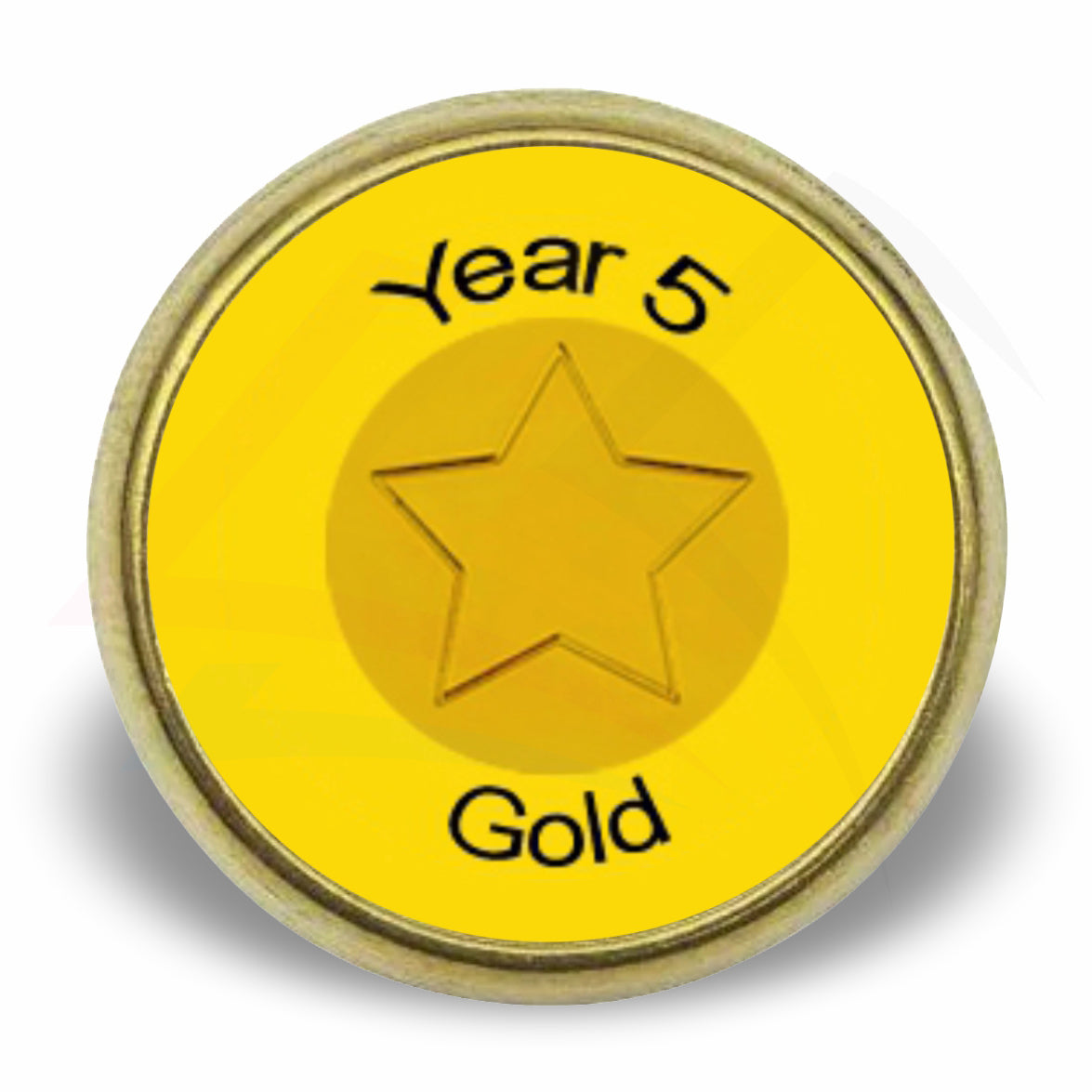P-17 Metal Pin Badge Round 17mm Photo Insert - Blank or Printed - Pack of 100