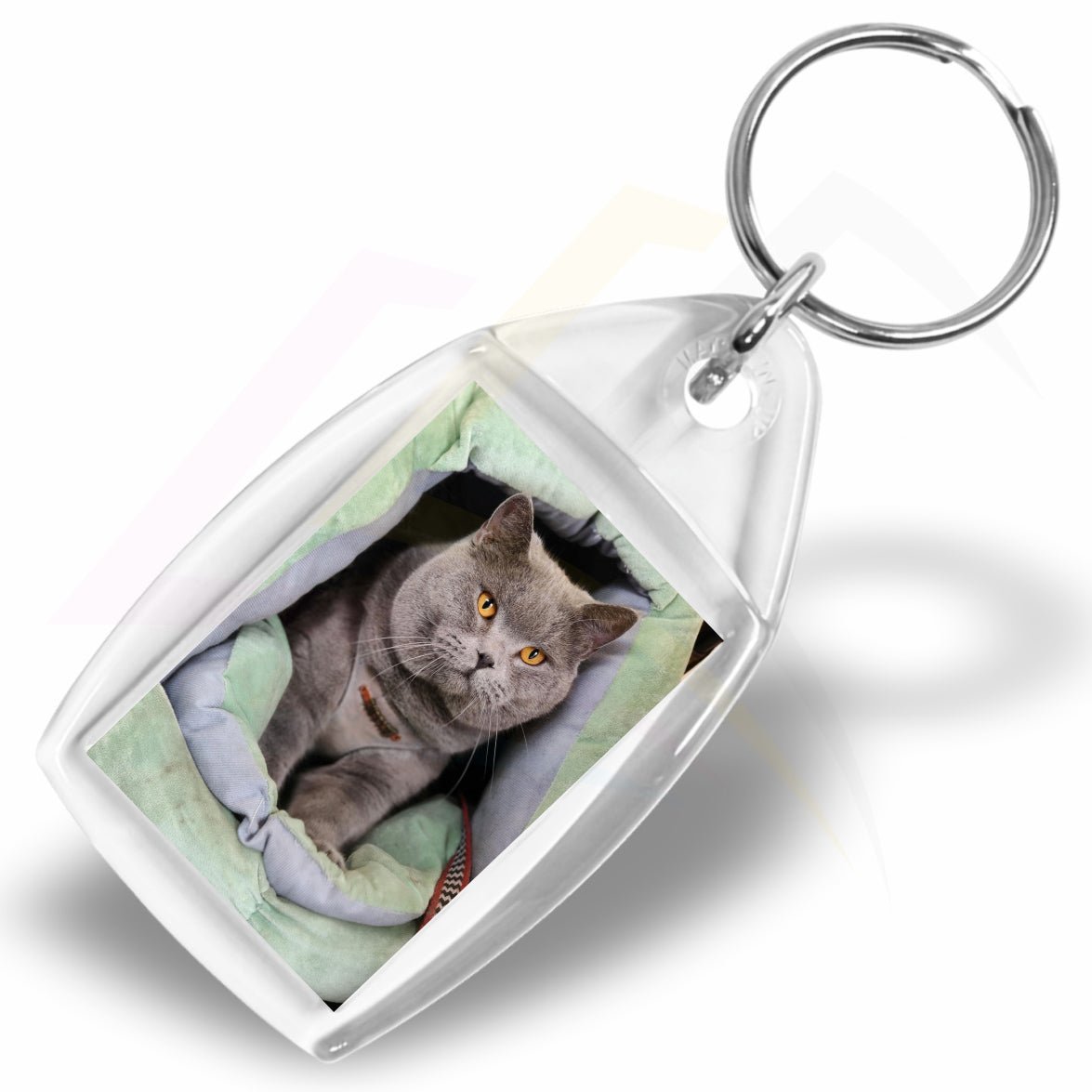 P4 Rectangular 35x24mm Photo Insert Acrylic Keyring - Printed Cat Photo