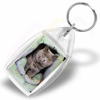 P5 Rectangular 35x24mm Photo Insert Acrylic Keyring - Blank or Printed - Pack of 250