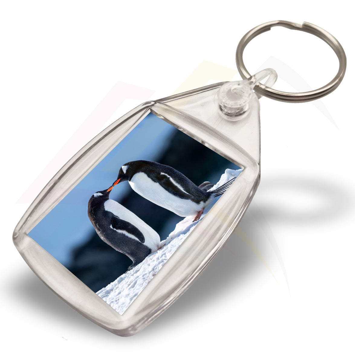P7 Rectangular 35x24mm Photo Insert Acrylic Keyring - Blank or Printed - Pack of 500