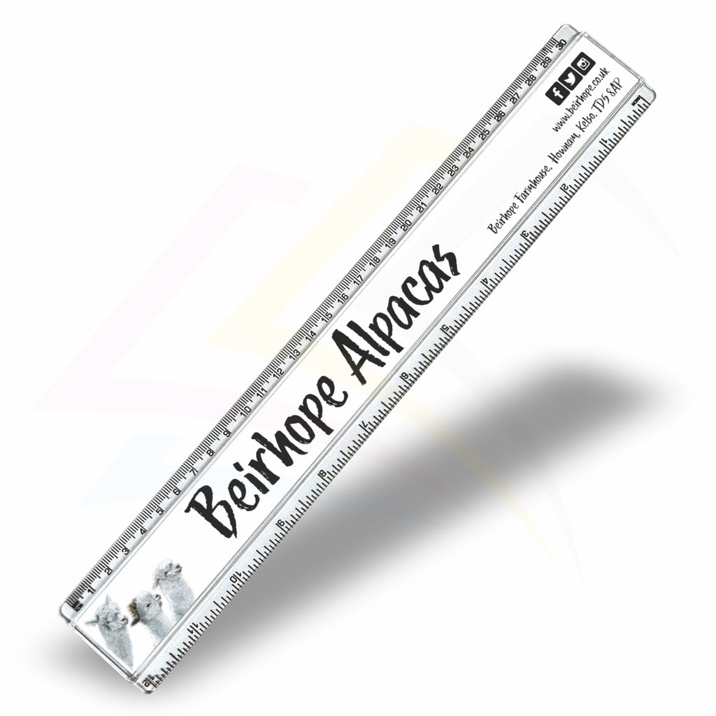T12-10 Clear Insert Ruler (30cm/12") –  310x29mm Photo Insert - Blank or Printed - Pack of 10