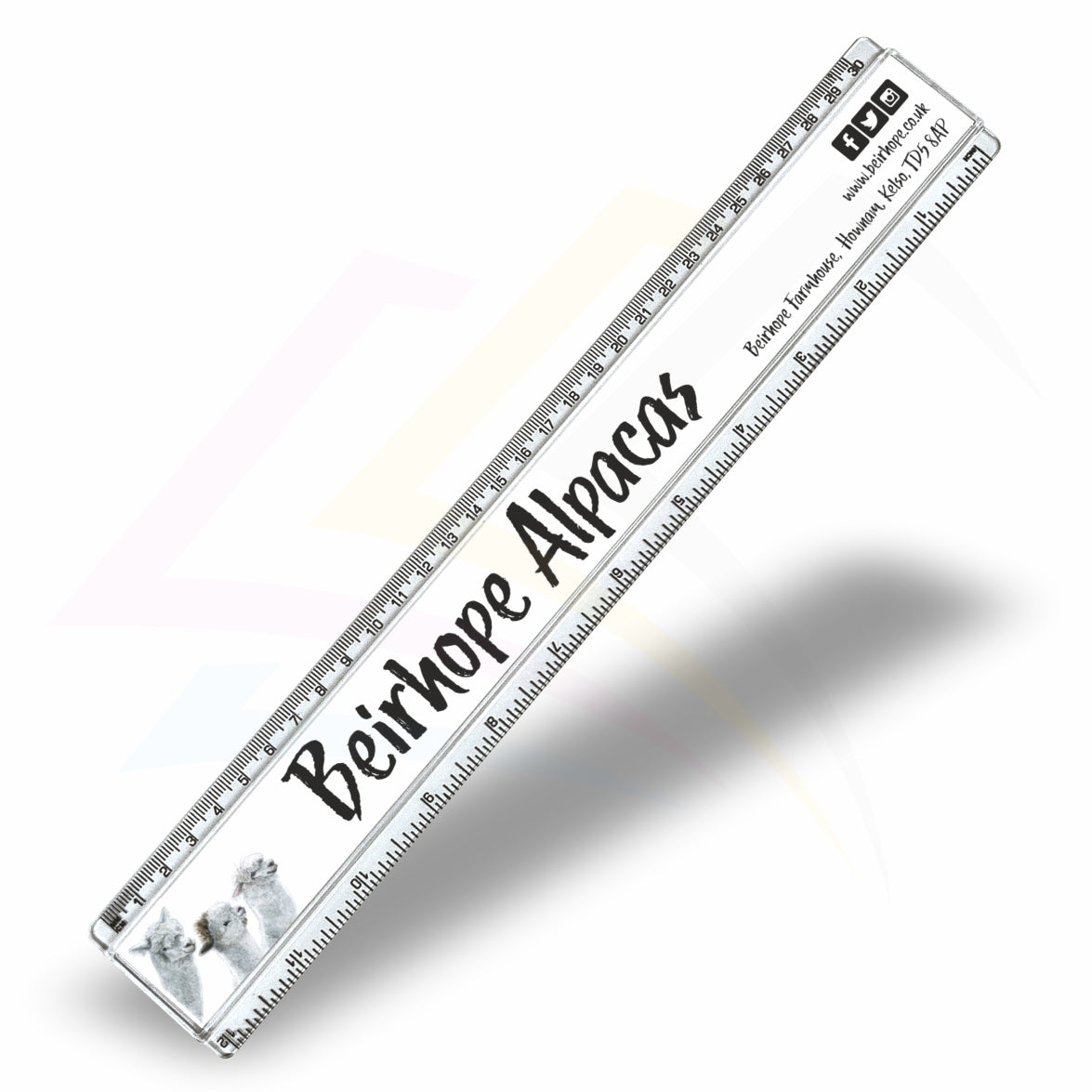 T12 Clear Insert Ruler (30cm/12") –  310x29mm Photo Insert - Blank or Printed - Pack of 50