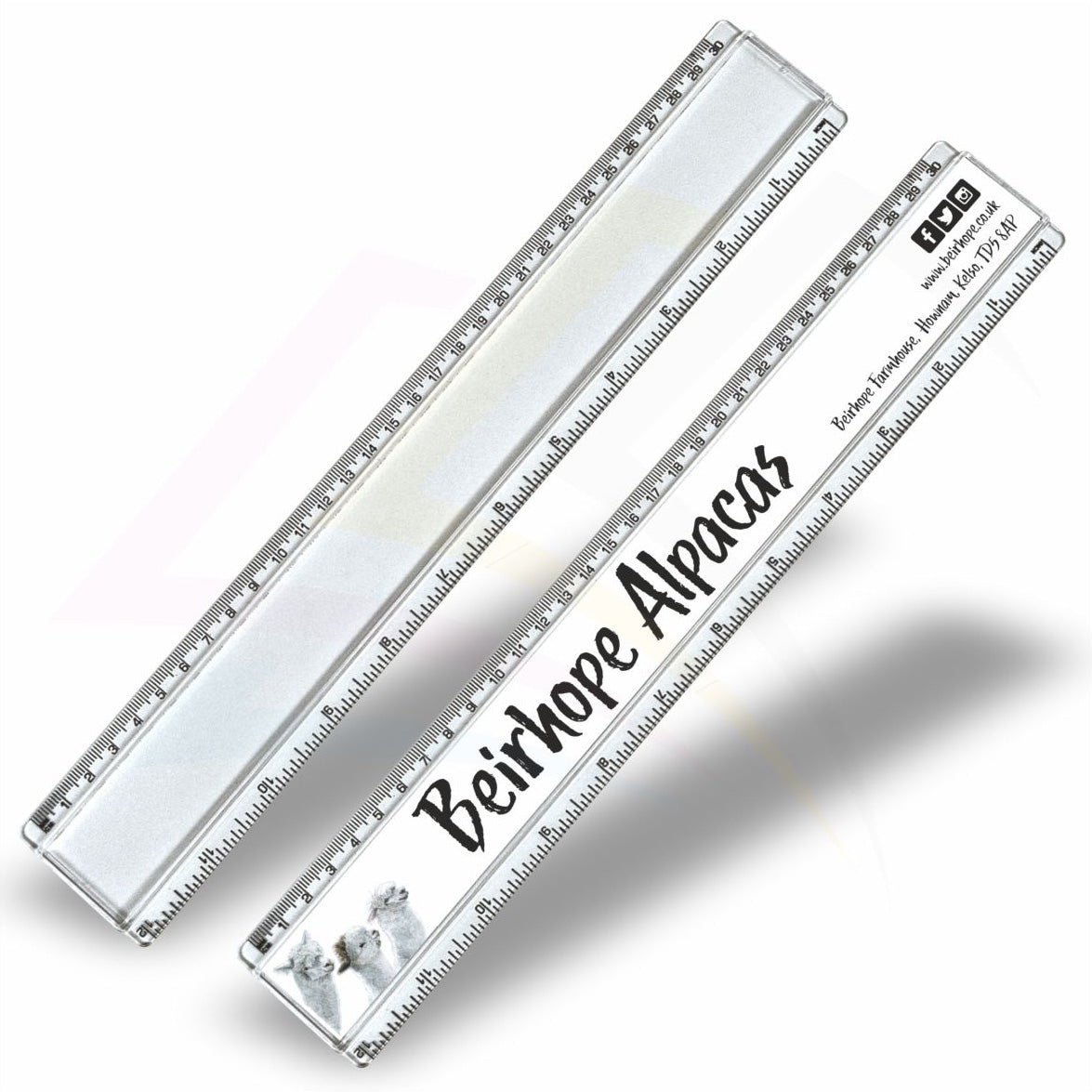 T12 Clear Insert Ruler (30cm/12") –  310x29mm Photo Insert - Blank or Printed - Pack of 50